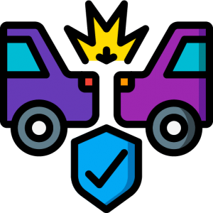 Driving License Icon